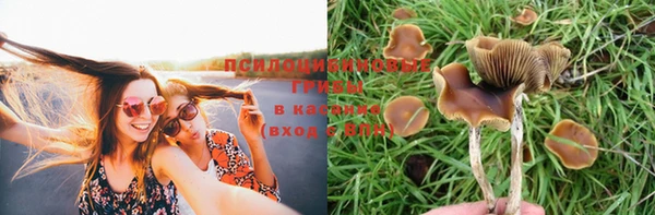 соль ск Арсеньев