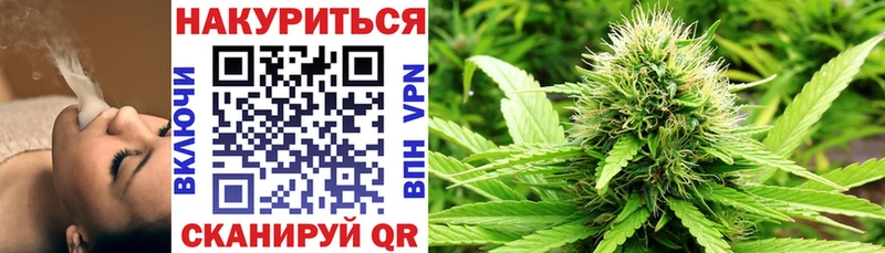 MEGA как найти Медвежьегорск Каннабис сатива